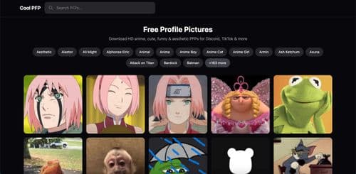 Cool PFP
